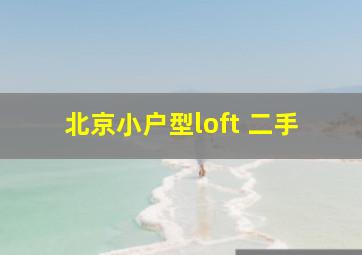 北京小户型loft 二手